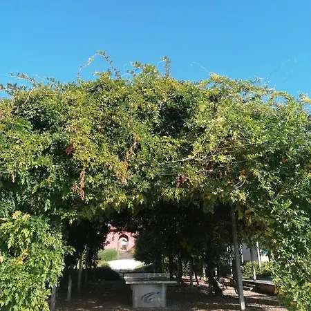 Appartement Domaine Claire Rive Duplex Renove 50m2, Sur Prayssac